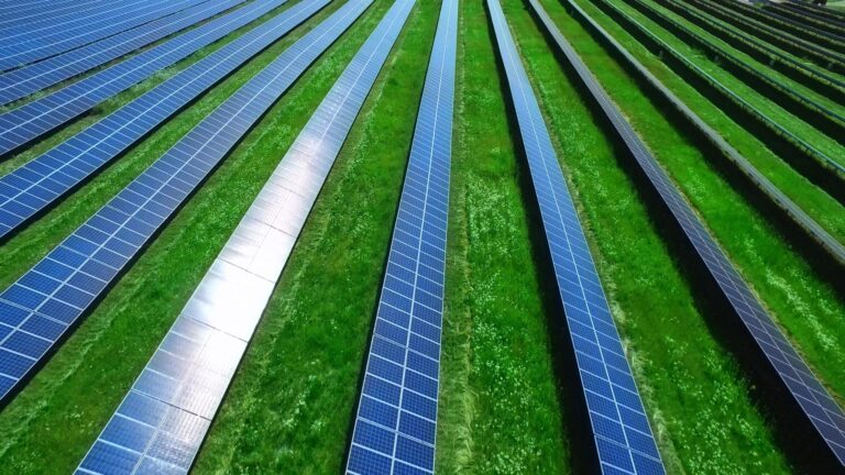 Distesa di pannelli solari in un campo verde
